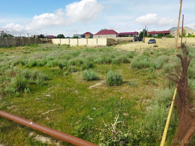 Продаётся  участок 12 сот, пос. Пиршаги, photo 5 from 8