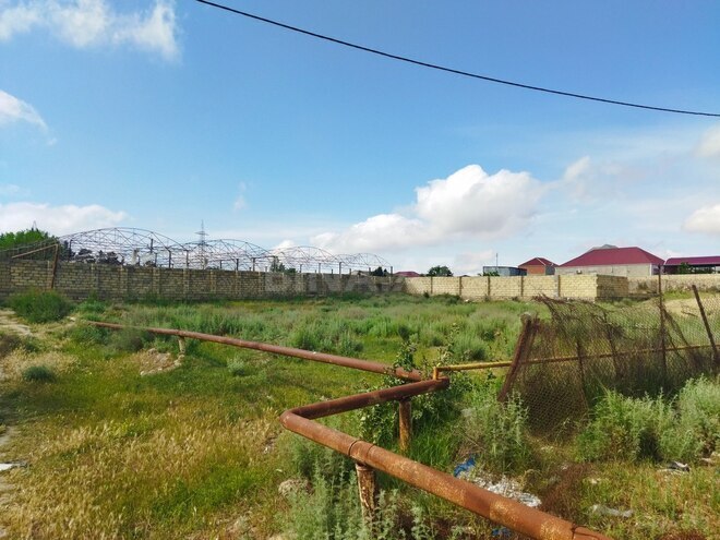 Продаётся  участок 12 сот, пос. Пиршаги, photo 6 from 8