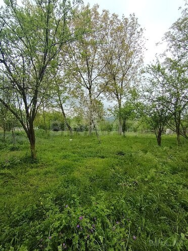 Продаётся  участок 8 сот, photo 8 from 16