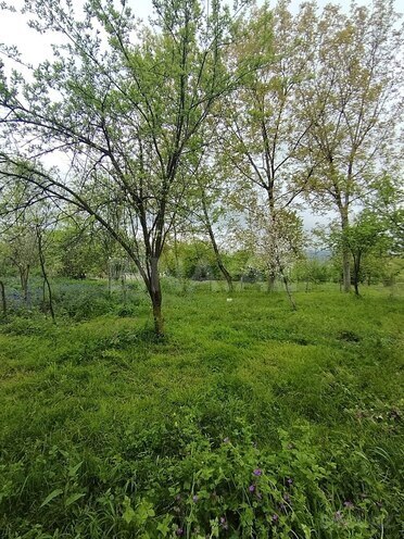Продаётся  участок 8 сот, photo 9 from 16