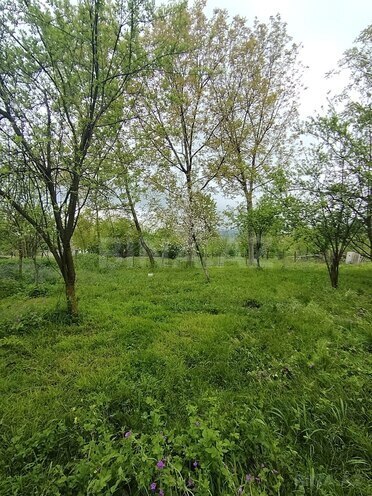 Продаётся  участок 8 сот, photo 13 from 16