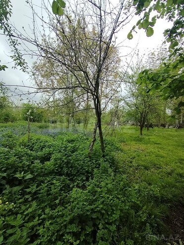 Продаётся  участок 8 сот, photo 15 from 16
