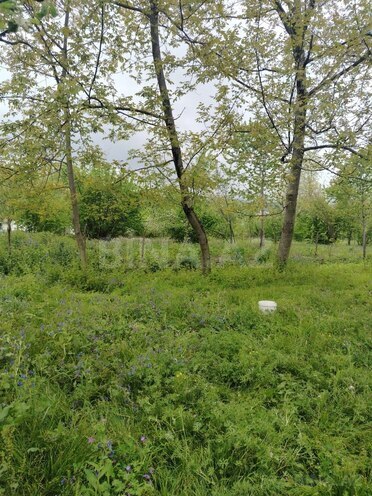 Продаётся  участок 8 сот, photo 3 from 16