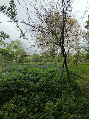 Продаётся  участок 8 сот, photo 10 from 16