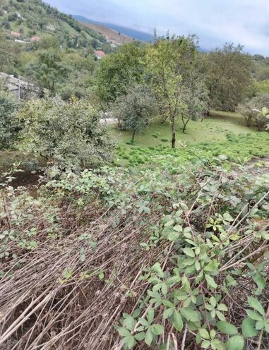 Продаётся  участок 10 сот, photo 3 from 4