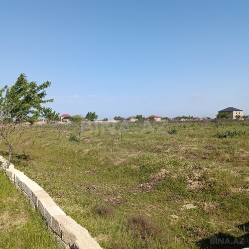 Продаётся  участок 130 сот, пос. Бина, photo 4 from 7