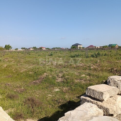 Продаётся  участок 130 сот, пос. Бина, photo 6 from 7