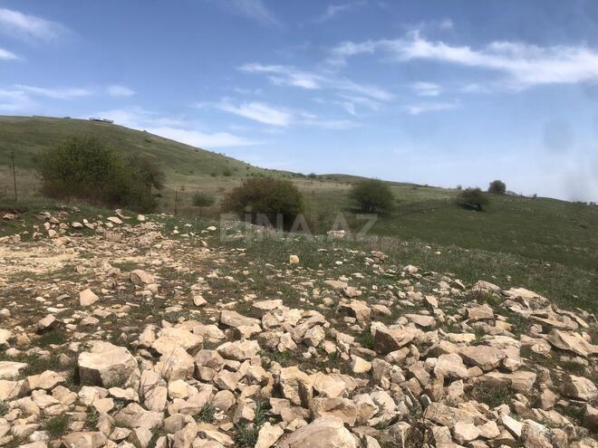 Satılır  torpaq 90 sot, photo 5 from 9