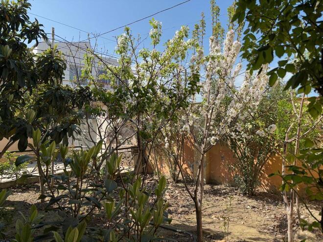 İcarəyə verilir 5 otaqlı həyət evi/bağ evi 250 m², Novxanı q., photo 6 from 32