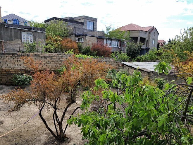 Satılır 3 otaqlı həyət evi/bağ evi 200 m², Badamdar q., photo 17 from 19