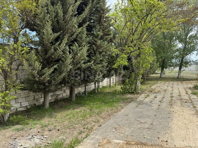 Продаётся  участок 8 сот, пос. Горадил, photo 5 from 16