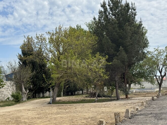 Продаётся  участок 8 сот, пос. Горадил, photo 4 from 16