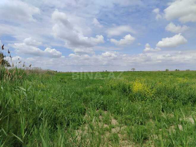 Продаётся  участок 35 092.6 сот, photo 7 from 32