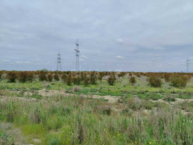 Продаётся  участок 35 092.6 сот, photo 16 from 32