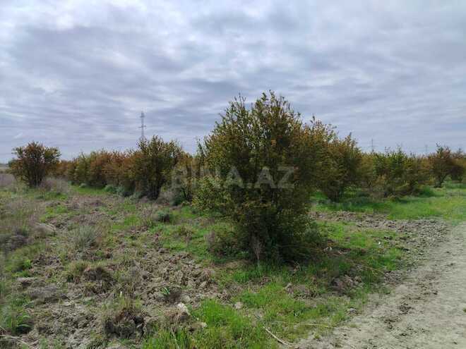 Продаётся  участок 35 092.6 сот, photo 20 from 32