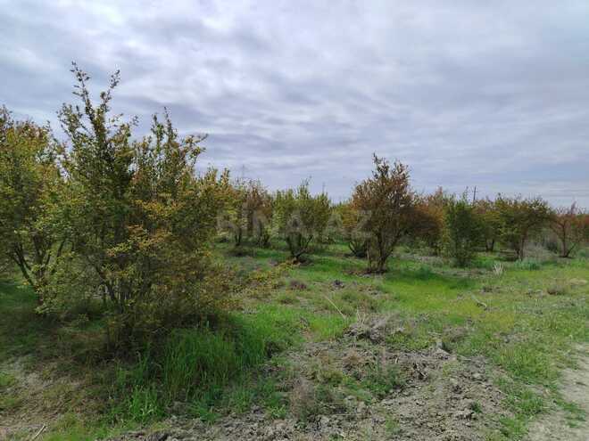 Продаётся  участок 35 092.6 сот, photo 18 from 32