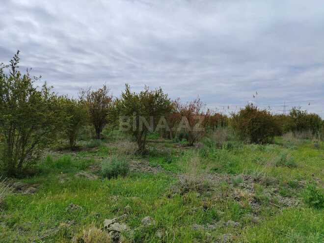 Продаётся  участок 35 092.6 сот, photo 17 from 32