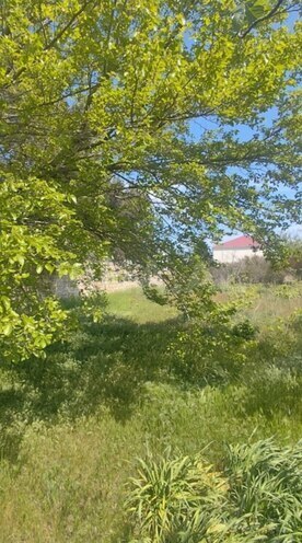 Продаётся 3-комн. дом/дача 60 м², пос. Новханы, photo 5 from 10