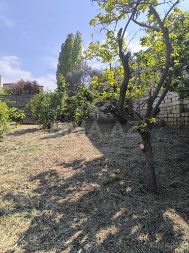 Продаётся  участок 10 сот, пос. Новханы, photo 12 from 24