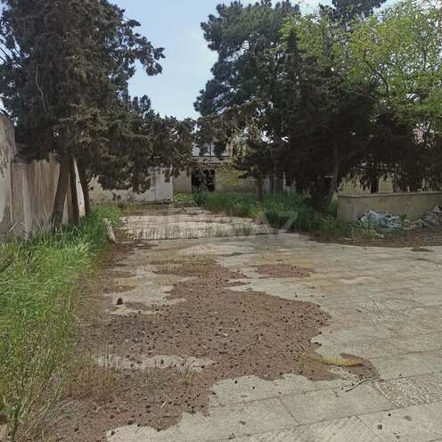 Продаётся  участок 24 сот, пос. Вишнёвка, photo 4 from 11