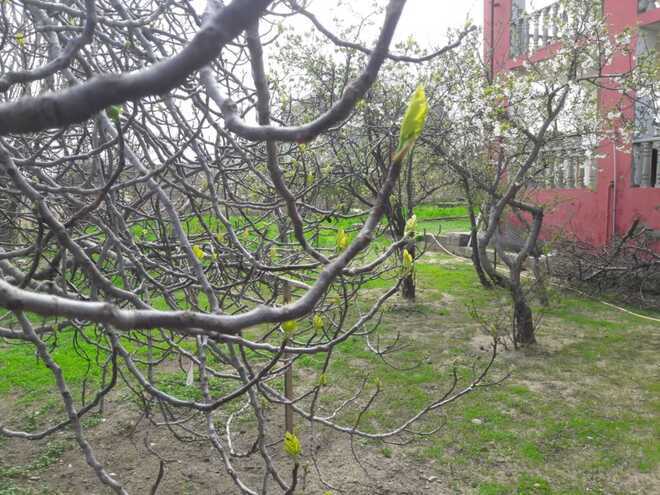Продаётся 5-комн. дом/дача 206 м², пос. Горадил, photo 3 from 12