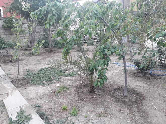 Продаётся  участок 4.5 сот, пос. Бакиханова, photo 3 from 9