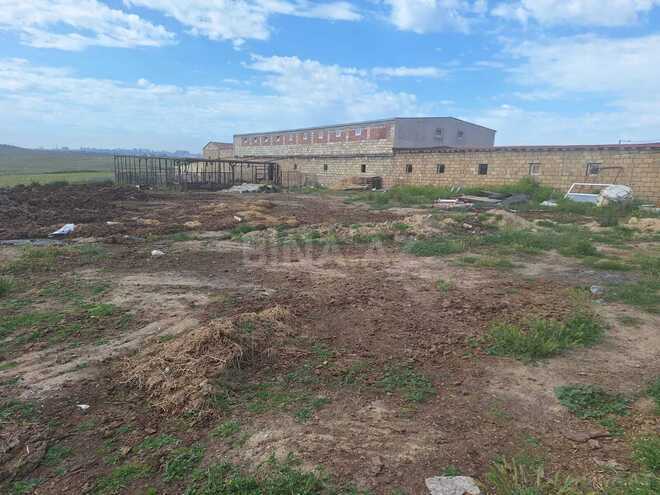 Satılır  torpaq 85 sot, Novxanı q., photo 15 from 18