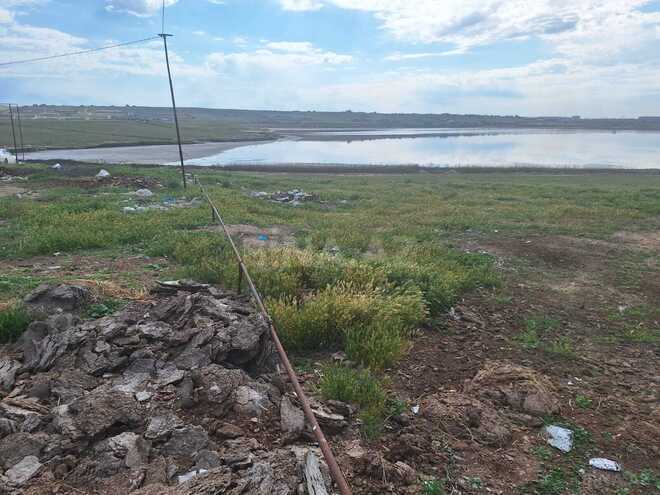 Satılır  torpaq 85 sot, Novxanı q., photo 13 from 18