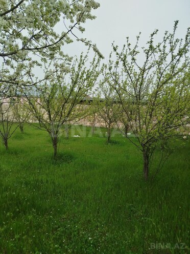 Продаётся  участок 6 сот, photo 3 from 8