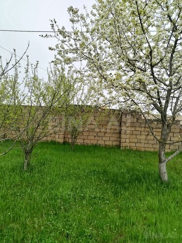 Продаётся  участок 6 сот, photo 7 from 8