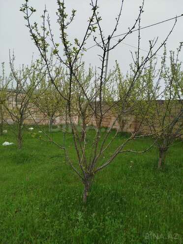 Продаётся  участок 6 сот, photo 5 from 8