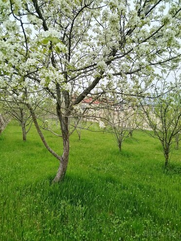 Продаётся  участок 6 сот, photo 1 from 8