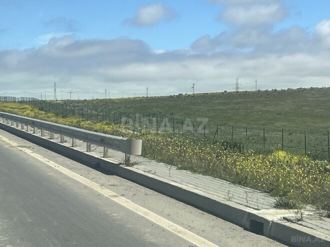 Продаётся  участок 100 сот, пос. Пиршаги, photo 5 from 6