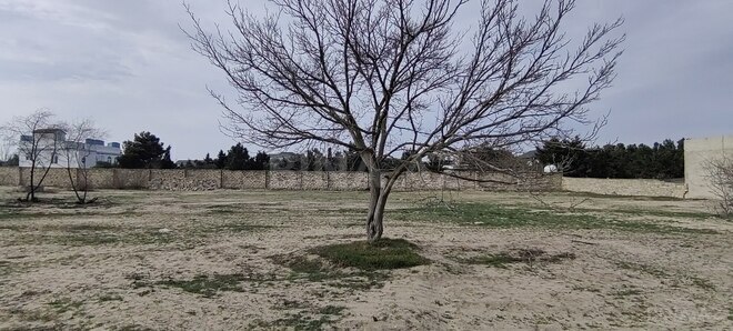 Продаётся  участок 12 сот, пос. Бильгях, photo 5 from 13