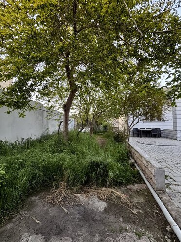 Продаётся 3-комн. дом/дача 120 м², пос. Мардакан, photo 5 from 14