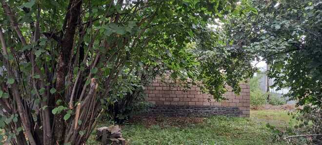 Продаётся  участок 5 сот, photo 8 from 11