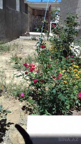 Satılır 5 otaqlı həyət evi/bağ evi 260 m², Badamdar q., photo 4 from 14