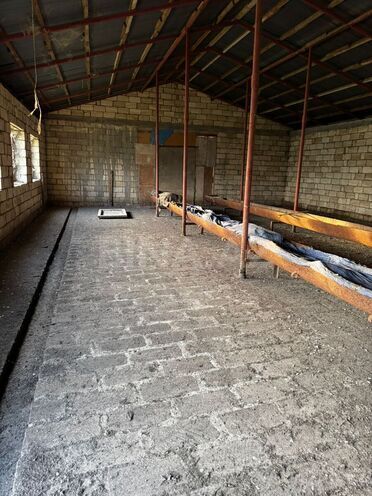 Продаётся  участок 40 сот, Абшеронcкий  р., photo 11 from 15