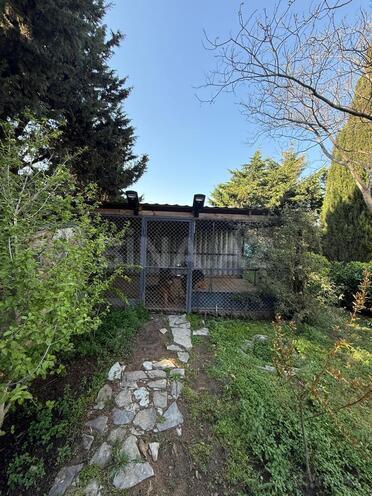 Продаётся 6-комн. дом/дача 318 м², пос. Нардаран, photo 8 from 30