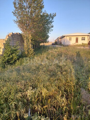 Продаётся  участок 160 сот, пос. Маштаги, photo 4 from 7