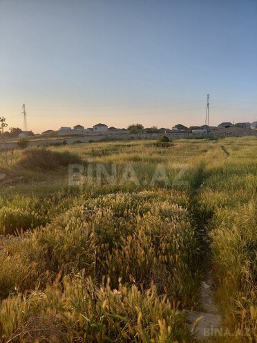Продаётся  участок 160 сот, пос. Маштаги, photo 3 from 7
