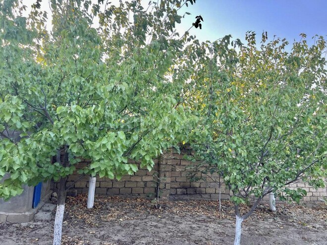 Satılır 5 otaqlı həyət evi/bağ evi 200 m², Görədil q., photo 4 from 19