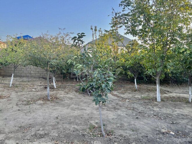Satılır 5 otaqlı həyət evi/bağ evi 200 m², Görədil q., photo 7 from 19