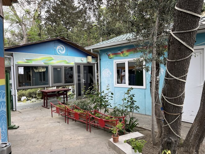 Сдаётся  объект 800 м², м. Нефтчиляр, photo 5 from 9