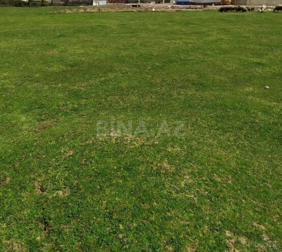 Продаётся  участок 12 сот, photo 5 from 6
