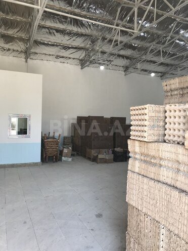 Сдаётся  объект 188 м², пос. М. Расулзаде, photo 6 from 9