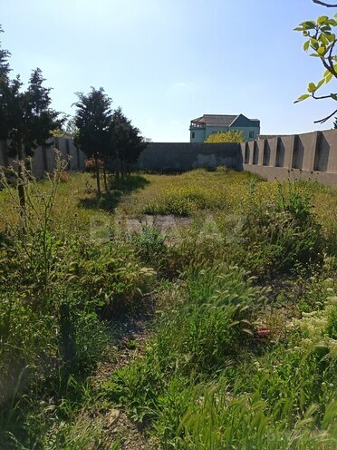 Продаётся  участок 6 сот, пос. Шувеляны, photo 3 from 6