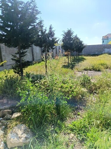 Продаётся  участок 6 сот, пос. Шувеляны, photo 4 from 6