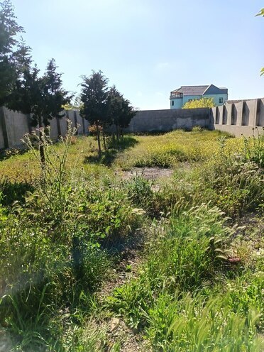 Продаётся  участок 6 сот, пос. Шувеляны, photo 1 from 6