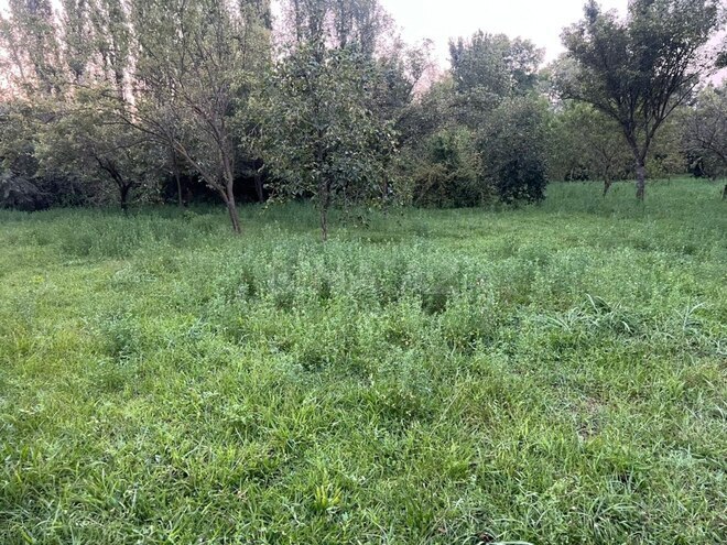 Продаётся 4-комн. дом/дача 63 м², photo 11 from 18